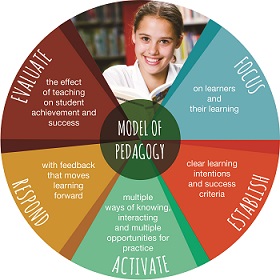 Chart depicting the Model of pedagogy. 